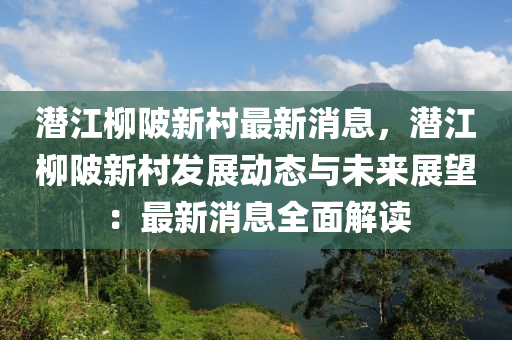 潛江柳陂新村最新消息，潛江柳陂新村發(fā)展動(dòng)態(tài)與未來(lái)展望：最新消息全面解讀