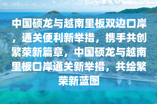 中國碩龍與越南里板雙邊口岸，通關便利新舉措，攜手共創(chuàng)繁榮新篇章，中國碩龍與越南里板口岸通關新舉措，共繪繁榮新藍圖