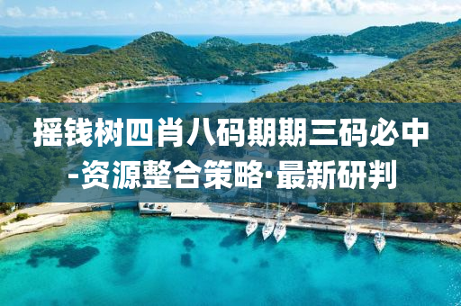 搖錢樹四肖八碼期期三碼必中-資源整合策略·最新研判