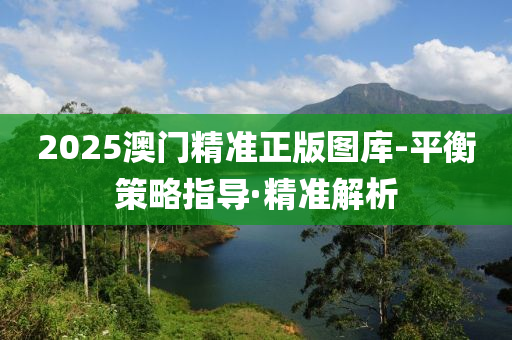 2025澳門精準(zhǔn)正版圖庫(kù)-平衡策略指導(dǎo)·精準(zhǔn)解析