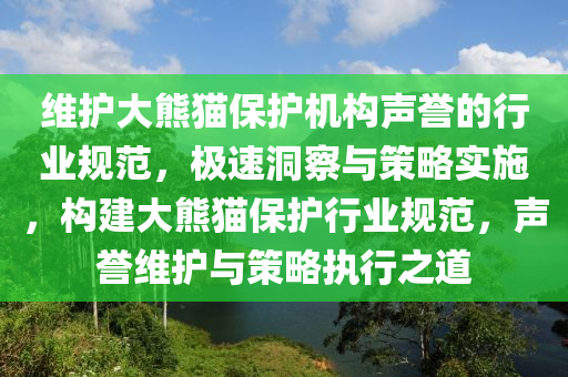 維護(hù)大熊貓保護(hù)機(jī)構(gòu)聲譽(yù)的行業(yè)規(guī)范，極速洞察與策略實(shí)施，構(gòu)建大熊貓保護(hù)行業(yè)規(guī)范，聲譽(yù)維護(hù)與策略執(zhí)行之道