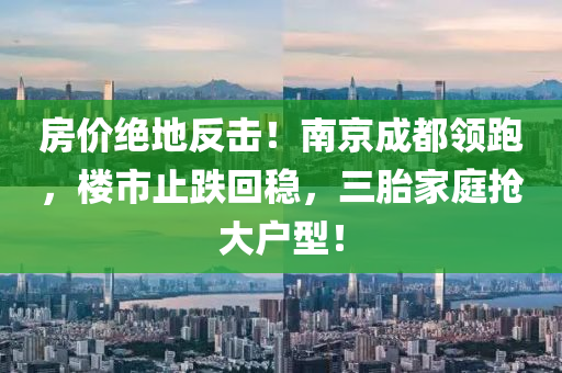 房價絕地反擊！南京成都領跑，樓市止跌回穩(wěn)，三胎家庭搶大戶型！