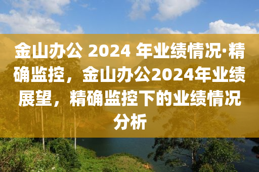 金山辦公 2024 年業(yè)績情況·精確監(jiān)控，金山辦公2024年業(yè)績展望，精確監(jiān)控下的業(yè)績情況分析