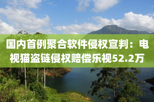 國內(nèi)首例聚合軟件侵權(quán)宣判：電視貓盜鏈侵權(quán)賠償樂視52.2萬