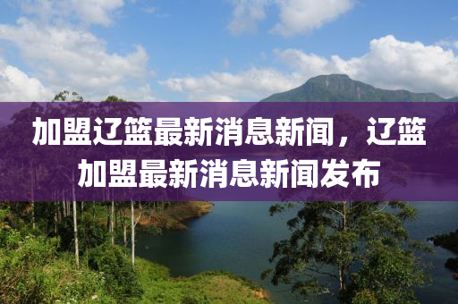 加盟遼籃最新消息新聞，遼籃加盟最新消息新聞發(fā)布