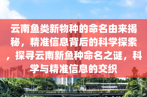 云南魚類新物種的命名由來揭秘，精準(zhǔn)信息背后的科學(xué)探索，探尋云南新魚種命名之謎，科學(xué)與精準(zhǔn)信息的交織