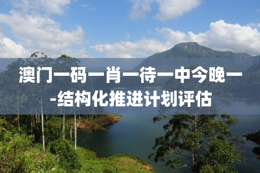 澳門一碼一肖一待一中今晚一-結(jié)構(gòu)化推進計劃評估