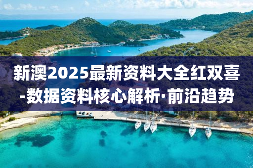 新澳2025最新資料大全紅雙喜-數(shù)據(jù)資料核心解析·前沿趨勢(shì)