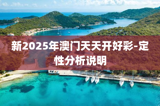 新2025年澳門天天開好彩-定性分析說明