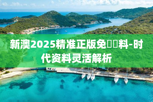 新澳2025精準(zhǔn)正版免費(fèi)資料-時(shí)代資料靈活解析