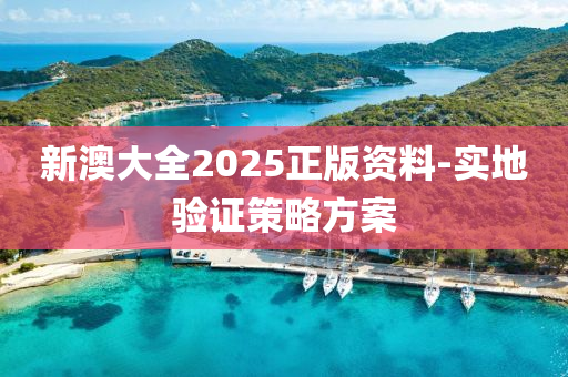 新澳大全2025正版資料-實(shí)地驗(yàn)證策略方案