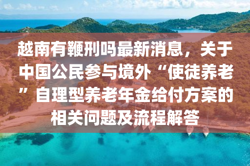 越南有鞭刑嗎最新消息，關(guān)于中國公民參與境外“使徒養(yǎng)老”自理型養(yǎng)老年金給付方案的相關(guān)問題及流程解答