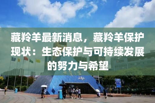 藏羚羊最新消息，藏羚羊保護現(xiàn)狀：生態(tài)保護與可持續(xù)發(fā)展的努力與希望