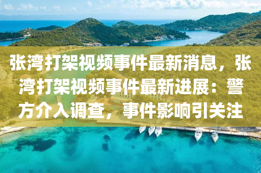 張灣打架視頻事件最新消息，張灣打架視頻事件最新進展：警方介入調(diào)查，事件影響引關(guān)注