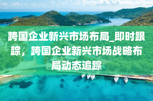 跨國企業(yè)新興市場布局_即時跟蹤，跨國企業(yè)新興市場戰(zhàn)略布局動態(tài)追蹤