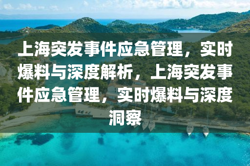 上海突發(fā)事件應(yīng)急管理，實(shí)時(shí)爆料與深度解析，上海突發(fā)事件應(yīng)急管理，實(shí)時(shí)爆料與深度洞察