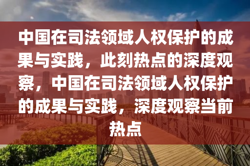 中國在司法領域人權保護的成果與實踐，此刻熱點的深度觀察，中國在司法領域人權保護的成果與實踐，深度觀察當前熱點