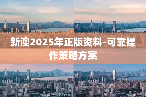 新澳2025年正版資料-可靠操作策略方案