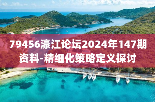 79456濠江論壇2024年147期資料-精細化策略定義探討