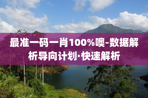 最準(zhǔn)一碼一肖100%噢-數(shù)據(jù)解析導(dǎo)向計(jì)劃·快速解析