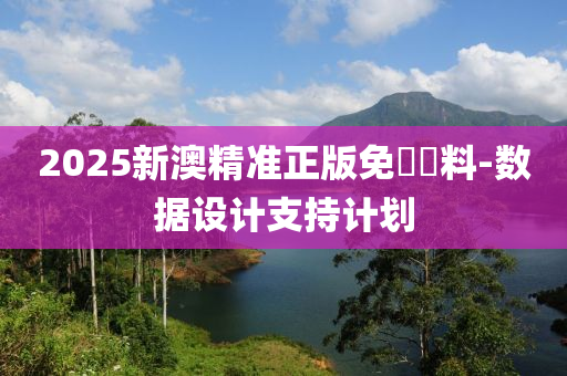 2025新澳精準(zhǔn)正版免費(fèi)資料-數(shù)據(jù)設(shè)計(jì)支持計(jì)劃