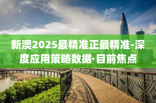 新澳2025最精準正最精準-深度應用策略數據·目前焦點