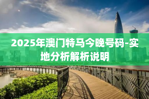 2025年澳門特馬今晚號碼-實地分析解析說明