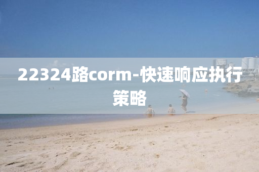 22324路corm-快速響應(yīng)執(zhí)行策略