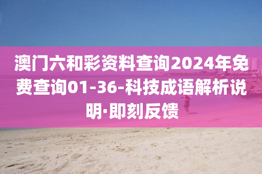 澳門六和彩資料查詢2024年免費(fèi)查詢01-36-科技成語解析說明·即刻反饋