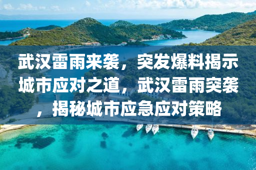 武漢雷雨來襲，突發(fā)爆料揭示城市應(yīng)對(duì)之道，武漢雷雨突襲，揭秘城市應(yīng)急應(yīng)對(duì)策略