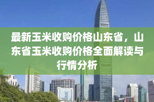 最新玉米收購(gòu)價(jià)格山東省，山東省玉米收購(gòu)價(jià)格全面解讀與行情分析