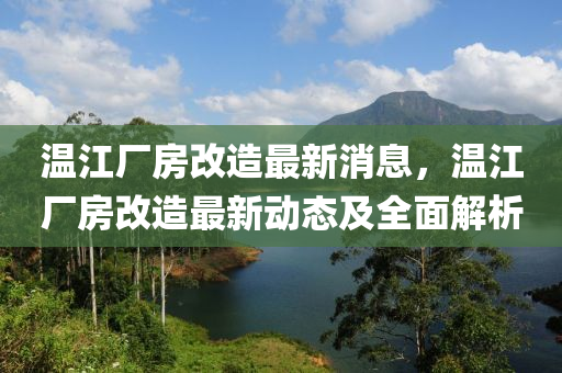 溫江廠房改造最新消息，溫江廠房改造最新動態(tài)及全面解析