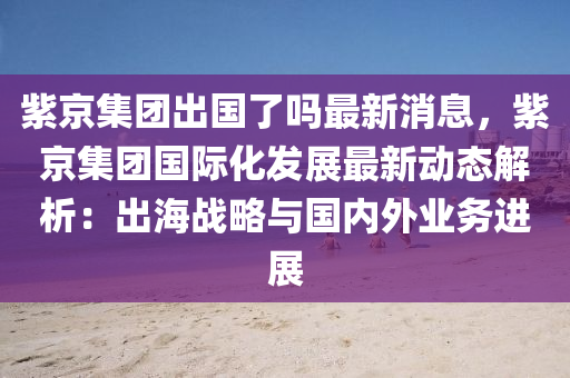 紫京集團出國了嗎最新消息，紫京集團國際化發(fā)展最新動態(tài)解析：出海戰(zhàn)略與國內(nèi)外業(yè)務(wù)進展