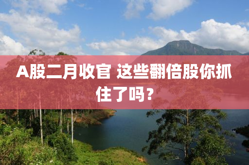 A股二月收官 這些翻倍股你抓住了嗎？