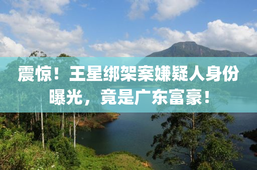 震驚！王星綁架案嫌疑人身份曝光，竟是廣東富豪！