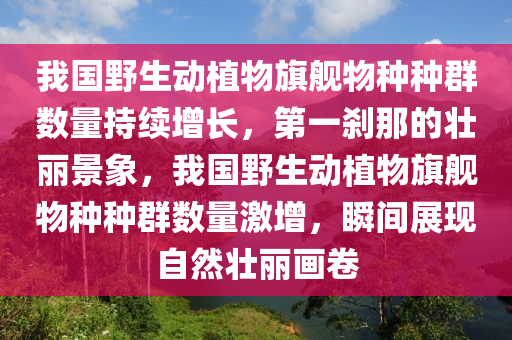 我國野生動植物旗艦物種種群數量持續(xù)增長，第一剎那的壯麗景象，我國野生動植物旗艦物種種群數量激增，瞬間展現自然壯麗畫卷