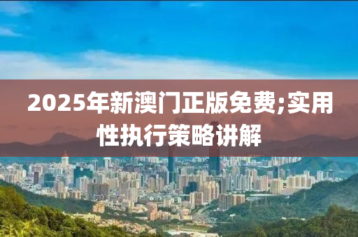 2025年新澳門(mén)正版免費(fèi);實(shí)用性執(zhí)行策略講解