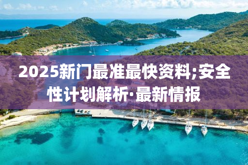 2025新門最準最快資料;安全性計劃解析·最新情報