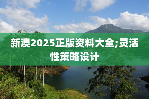 新澳2025正版資料大全;靈活性策略設(shè)計