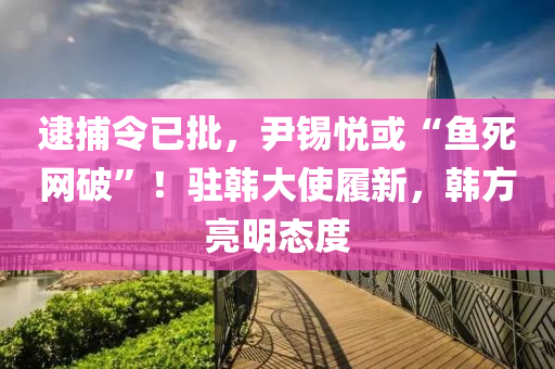 逮捕令已批，尹錫悅或“魚死網(wǎng)破”！駐韓大使履新，韓方亮明態(tài)度