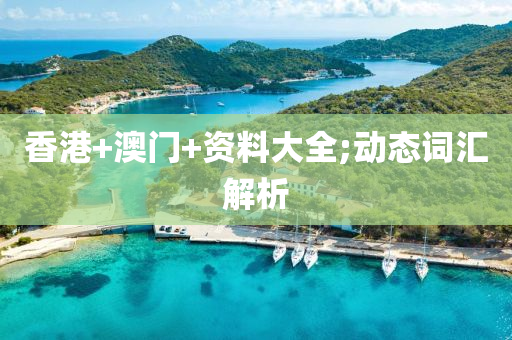 香港+澳門+資料大全;動態(tài)詞匯解析