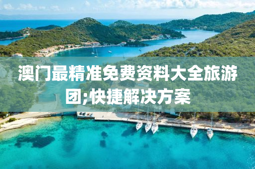 澳門最精準免費資料大全旅游團;快捷解決方案