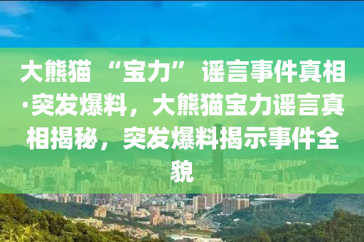 大熊貓 “寶力” 謠言事件真相·突發(fā)爆料，大熊貓寶力謠言真相揭秘，突發(fā)爆料揭示事件全貌