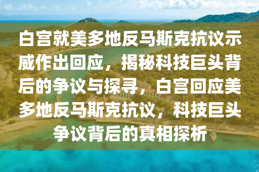 白宮就美多地反馬斯克抗議示威作出回應(yīng)，揭秘科技巨頭背后的爭(zhēng)議與探尋，白宮回應(yīng)美多地反馬斯克抗議，科技巨頭爭(zhēng)議背后的真相探析