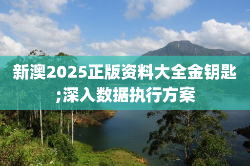 新澳2025正版資料大全金鑰匙;深入數(shù)據(jù)執(zhí)行方案