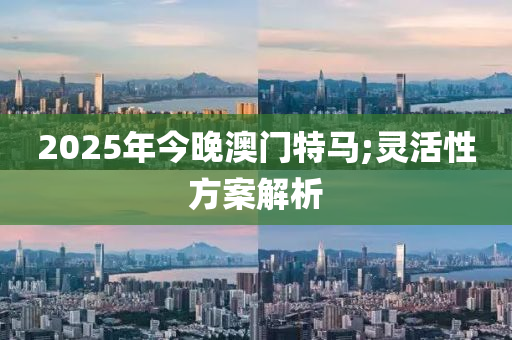 2025年今晚澳門特馬;靈活性方案解析