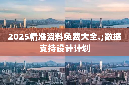 2025精準資料免費大全.;數(shù)據(jù)支持設(shè)計計劃