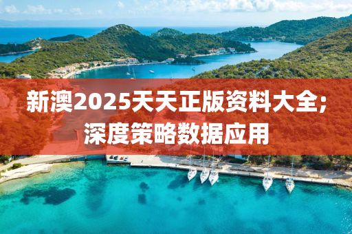 新澳2025天天正版資料大全;深度策略數(shù)據(jù)應(yīng)用