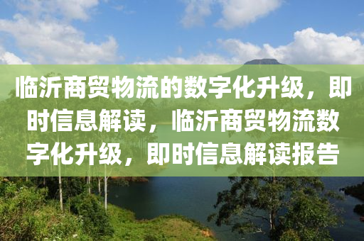 臨沂商貿(mào)物流的數(shù)字化升級(jí)，即時(shí)信息解讀，臨沂商貿(mào)物流數(shù)字化升級(jí)，即時(shí)信息解讀報(bào)告