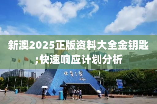 新澳2025正版資料大全金鑰匙;快速響應(yīng)計(jì)劃分析